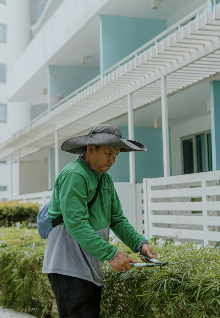 This photo shows a gardener trimming bushes.